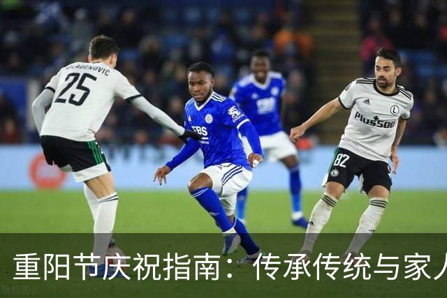 重阳节庆祝指南：传承传统与家人共度幸福佳节